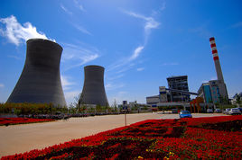 國電費縣發電廠項目